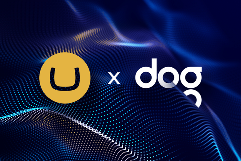 The Key to your Umbraco website success? The right Umbraco partner.
